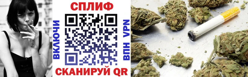 Купить закладку Медынь Галлюциногенные грибы  МЕТАДОН  Меф  Канабис  Гашиш  АМФЕТАМИН 