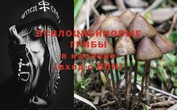 ПСИЛОЦИБИНОВЫЕ ГРИБЫ Наволоки