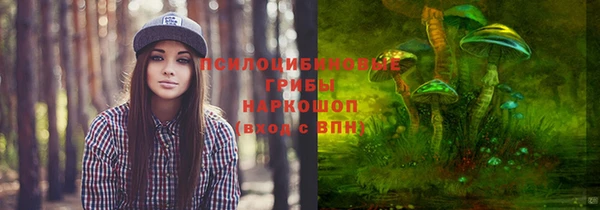 ECSTASY Михайлов