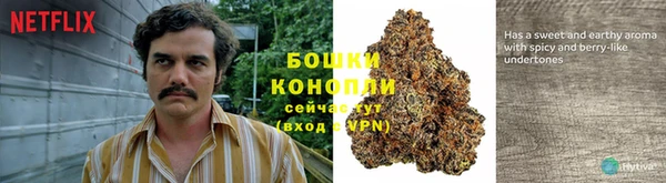 ECSTASY Михайлов